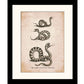 Snake Print - Antique Reproduction - Viper or Adder, Common Snake and Rattlesnake - Reptile - Herpetology - Available Framed