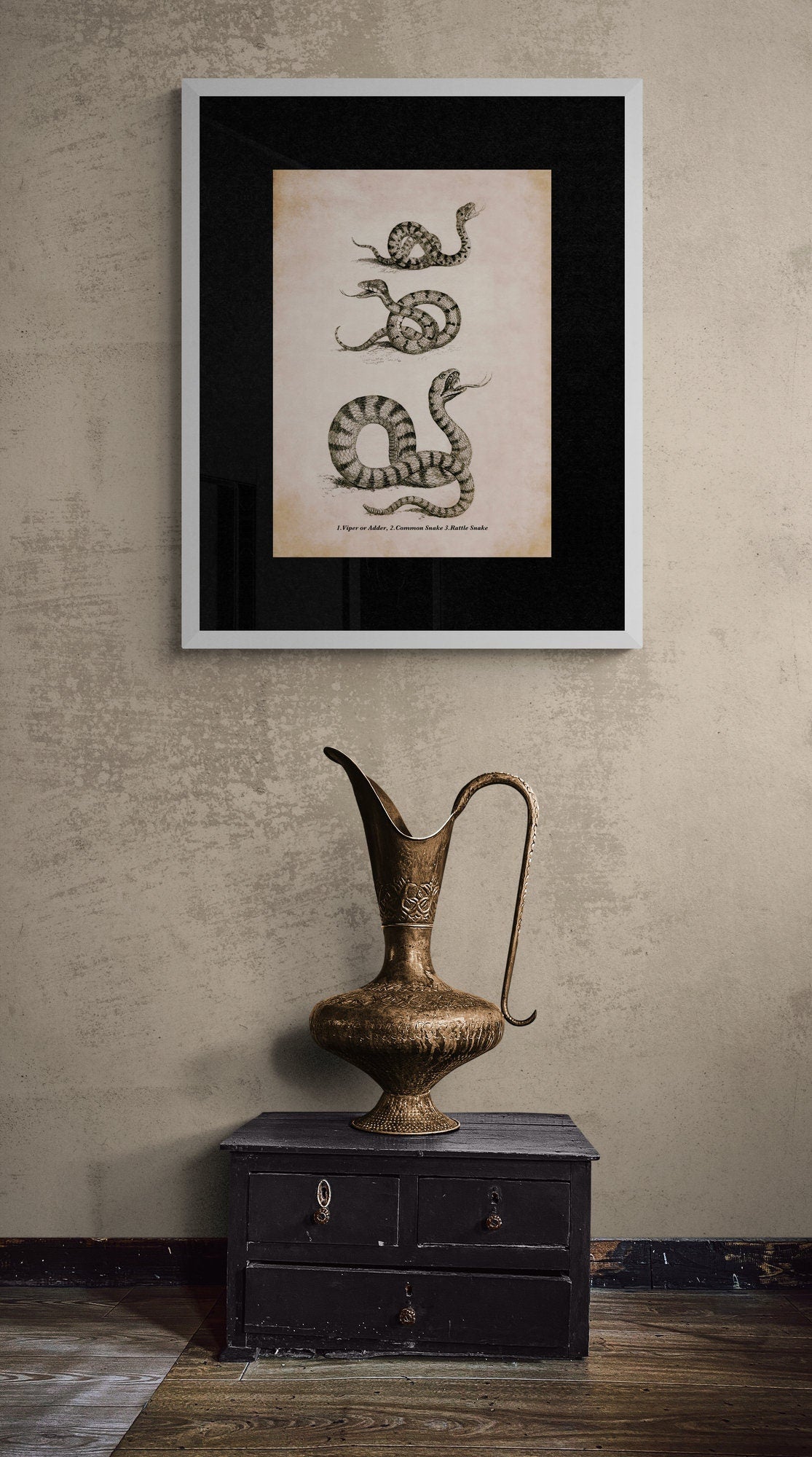 Snake Print - Antique Reproduction - Viper or Adder, Common Snake and Rattlesnake - Reptile - Herpetology - Available Framed