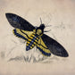 Death's Head Hawkmoth Print