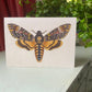 Deaths Head Hawkmoth Antique A6 Greeting Card - Antique Reproduction - FREE SHIPPING