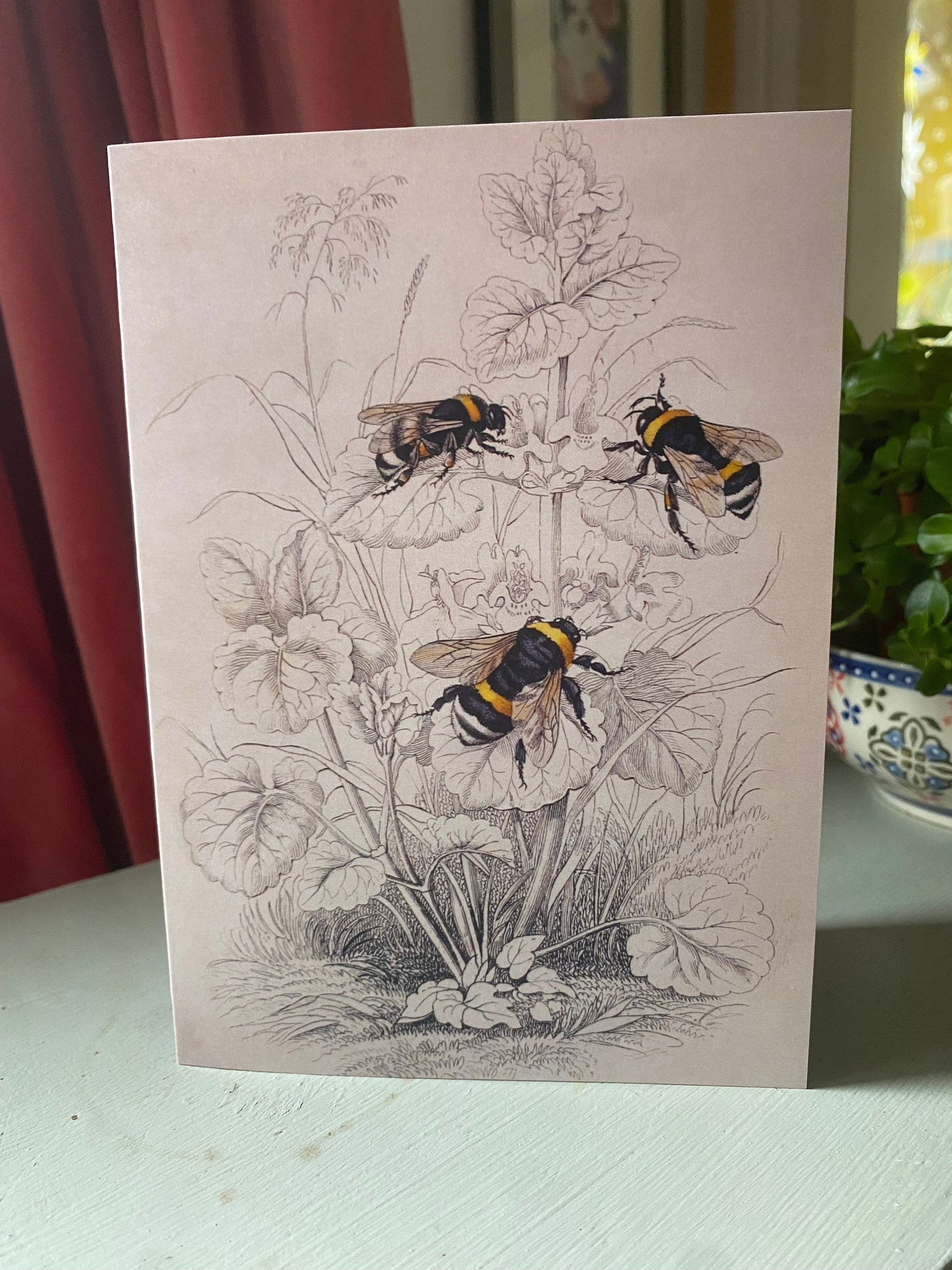 Bumblebees Antique 5x7 inch Greeting Card - Antique Reproduction - FREE SHIPPING