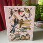 Insects Antique A6 Greeting Card - Dragonfly - Antique Reproduction - FREE SHIPPING