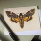 Deaths Head Hawkmoth Antique A6 Greeting Card - Antique Reproduction - FREE SHIPPING