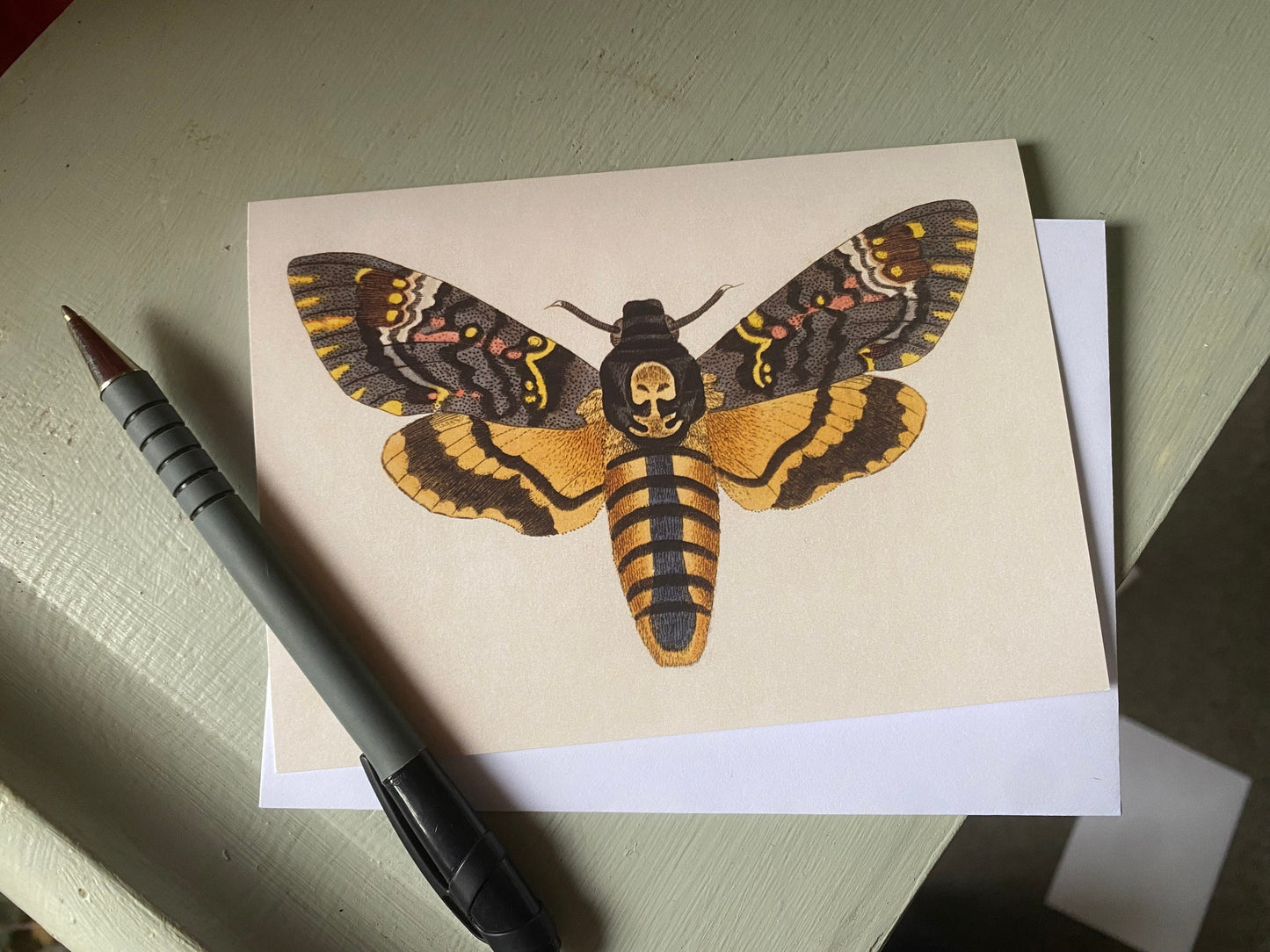 Deaths Head Hawkmoth Antique A6 Greeting Card - Antique Reproduction - FREE SHIPPING