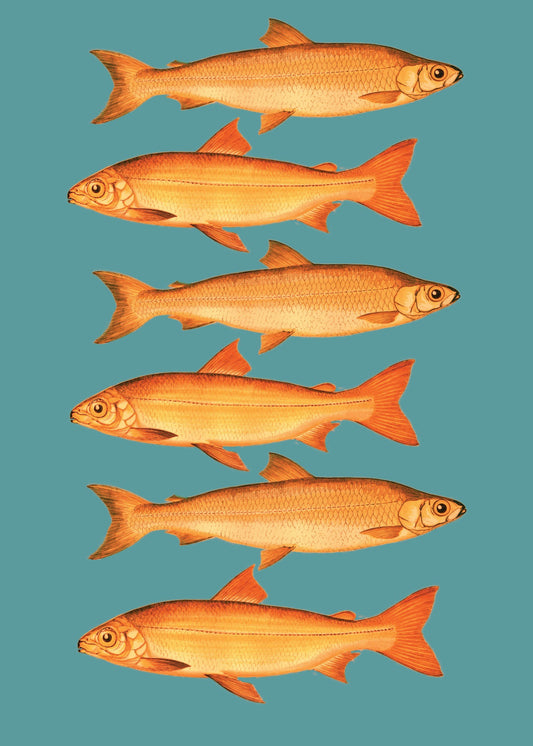 Retro Fish Art