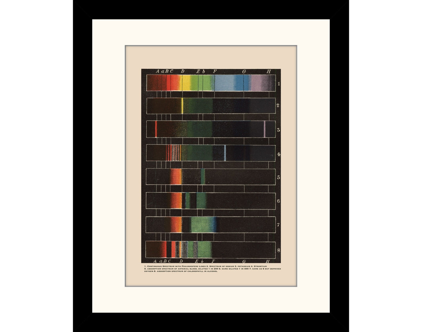 Spectrum Analysis Print