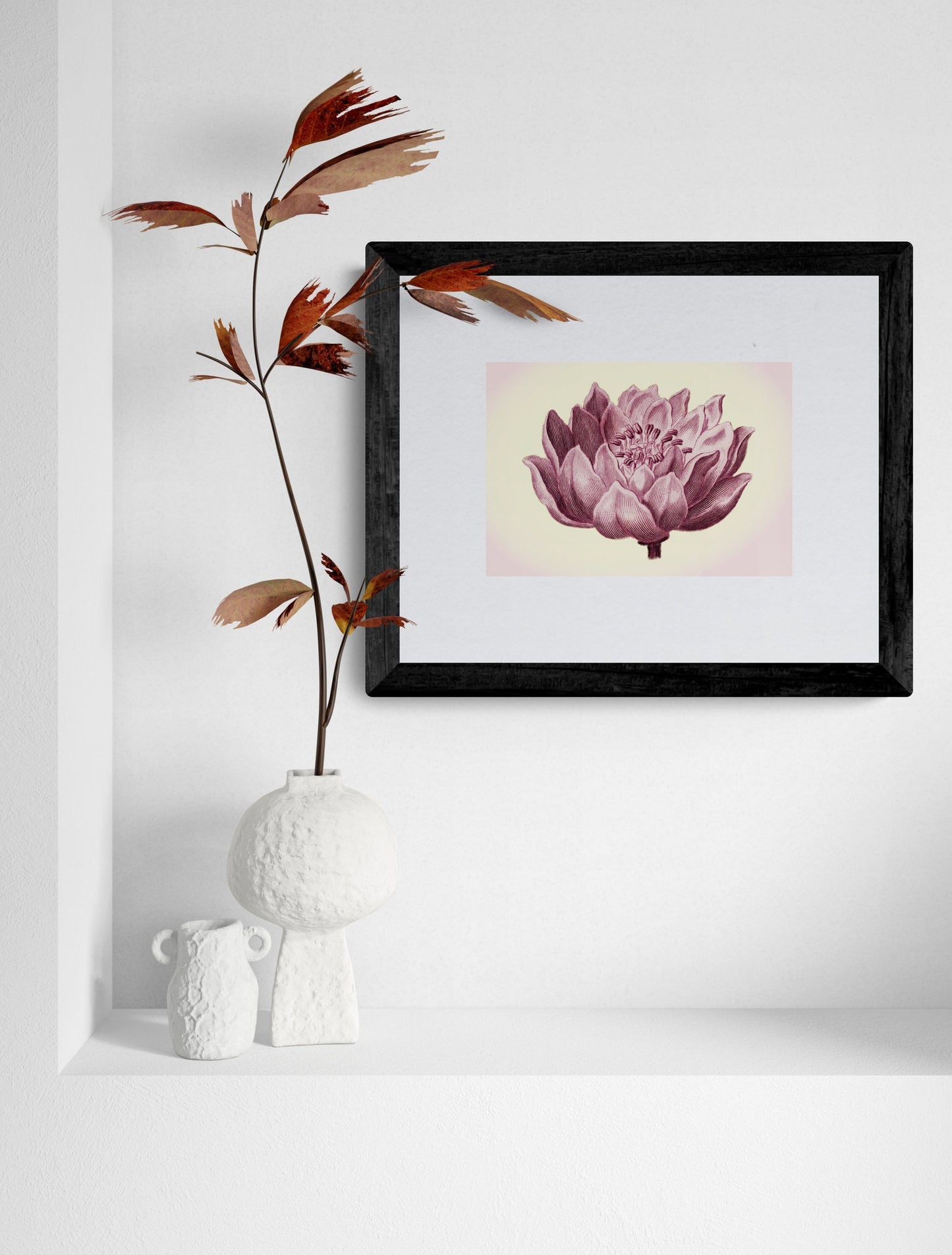 Flower Print - Antique Art Reproduction - Wall Decor - Botanical Art - Botany - Available Framed