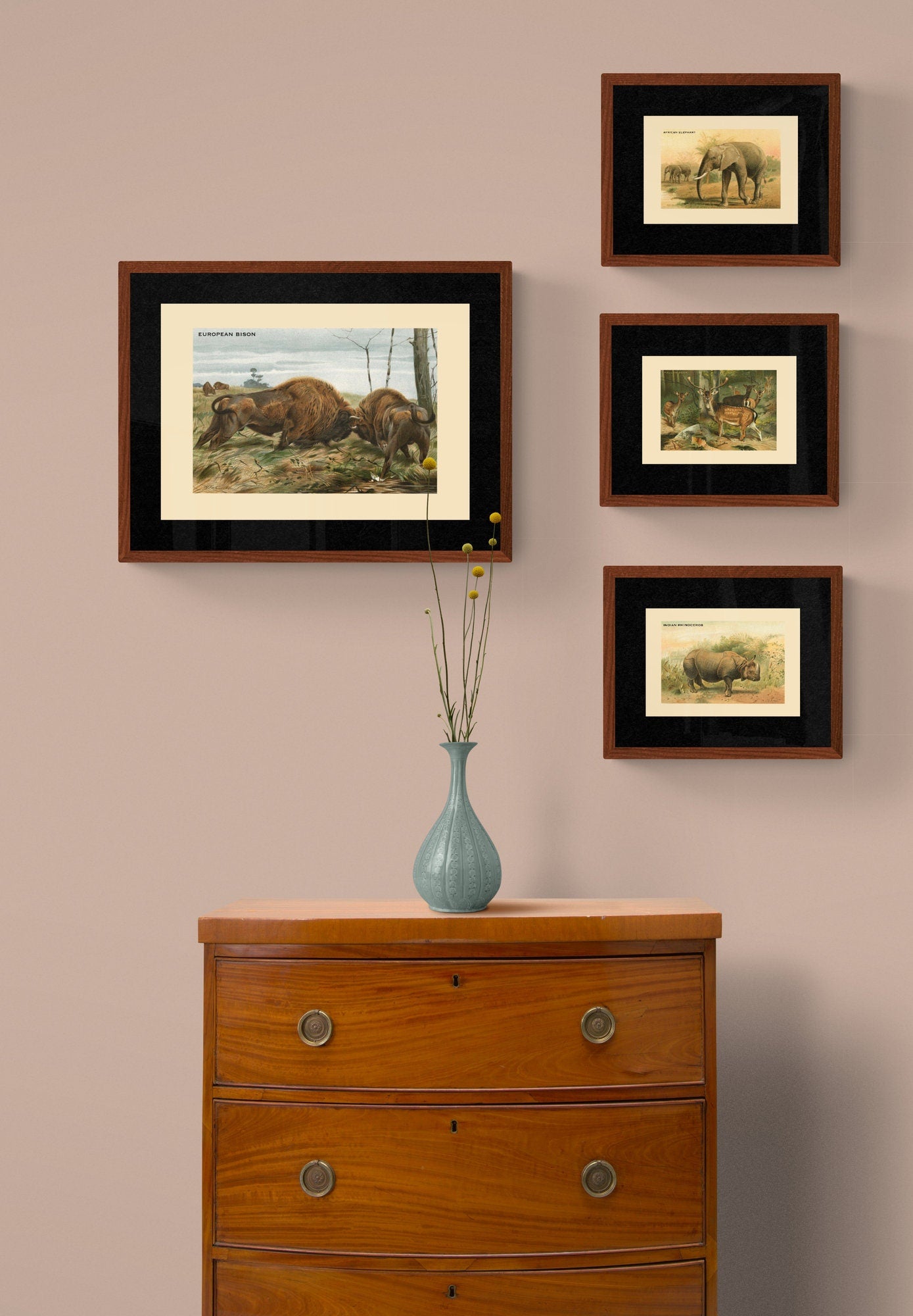 European Bison Print