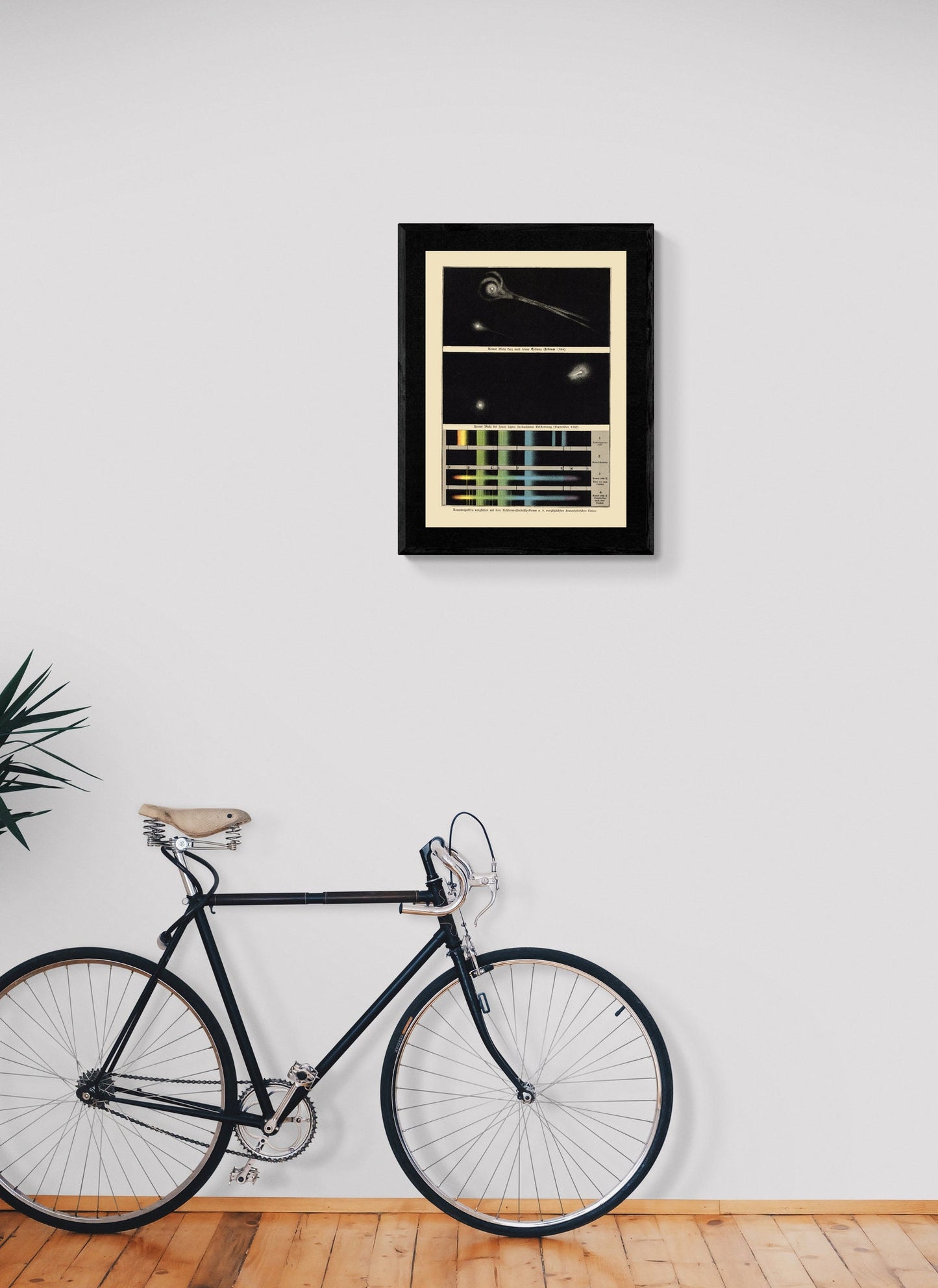 Comet Spectrum Analysis & Biela's Comet Print