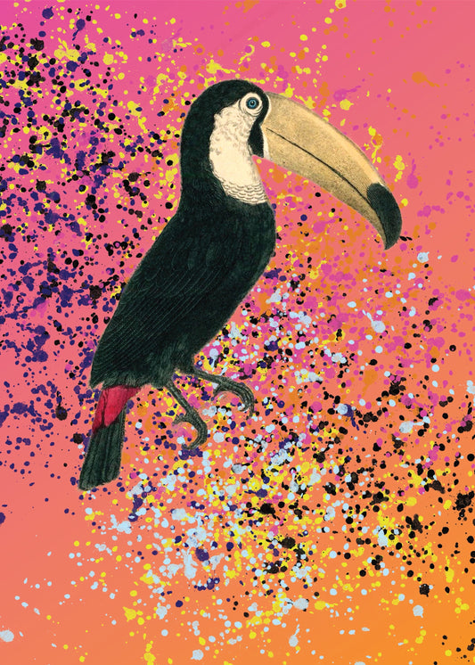 Toucan Paint Splash Print