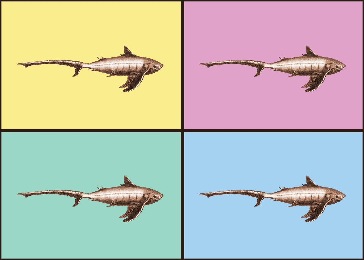 Shark Pop Art Print