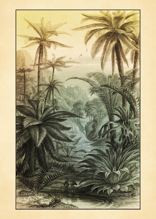 Tree Ferns Print