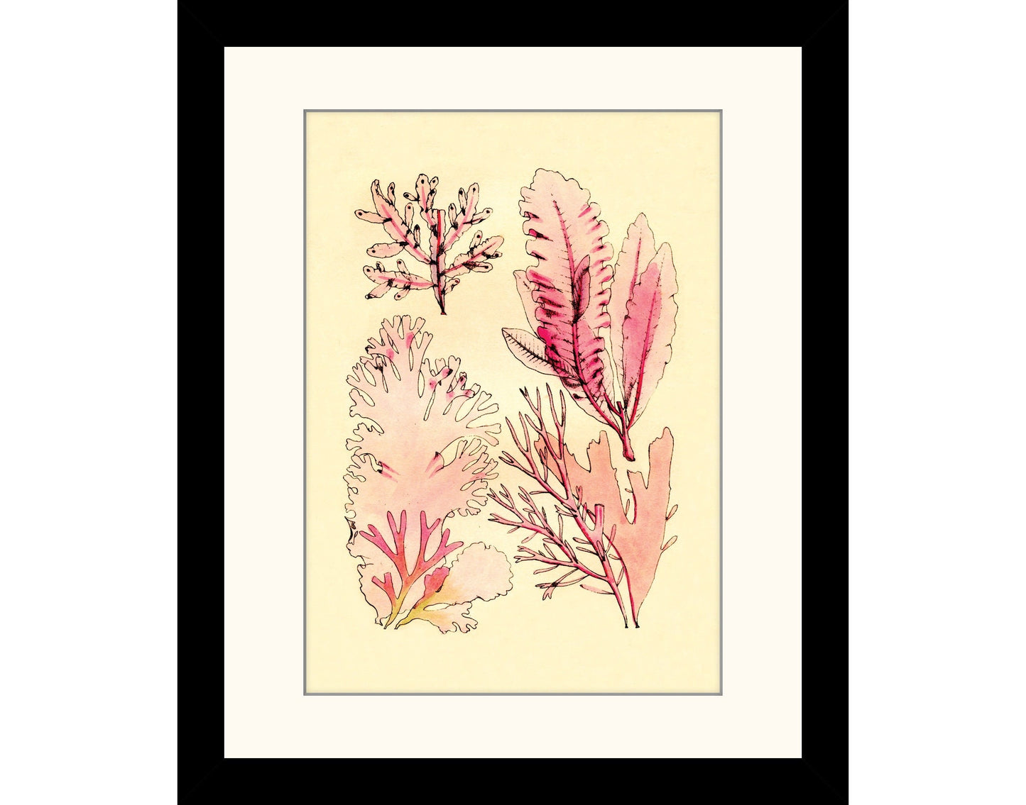 Seaweed Antique Reproduction