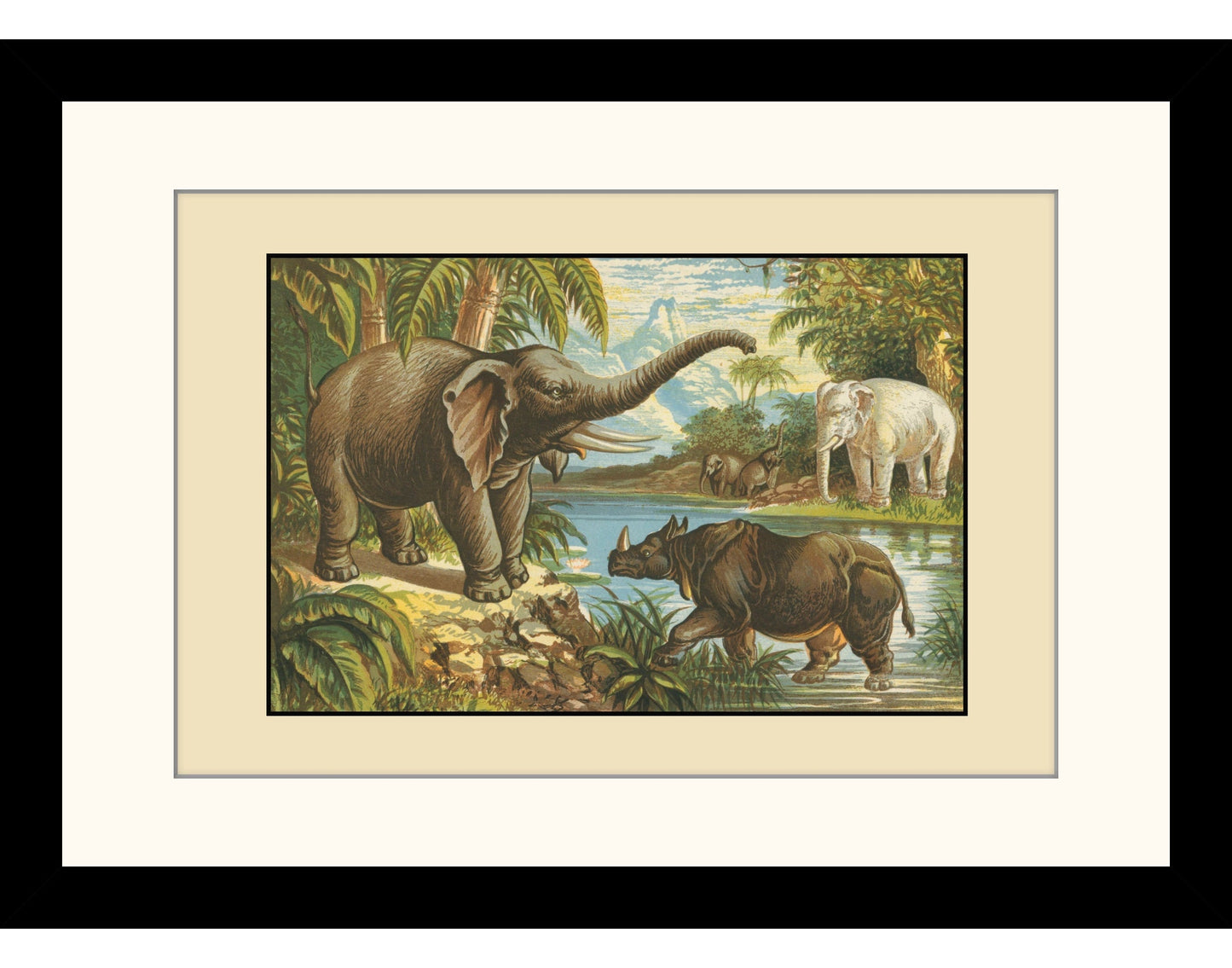 Elephant, Rhinoceros and White Elephant Print