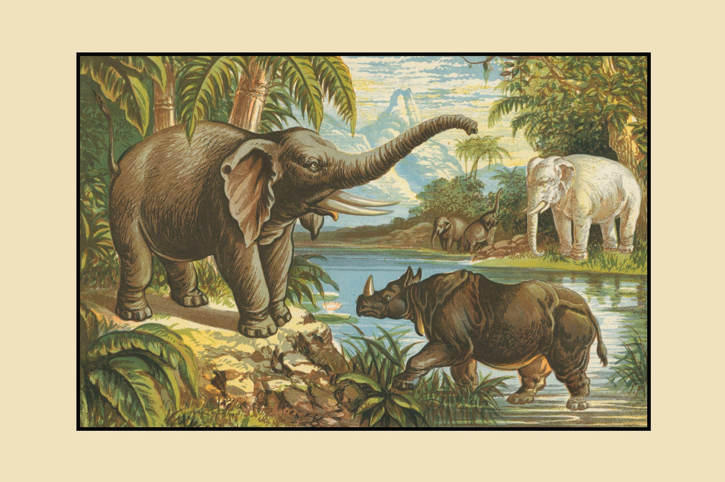 Elephant, Rhinoceros and White Elephant Print