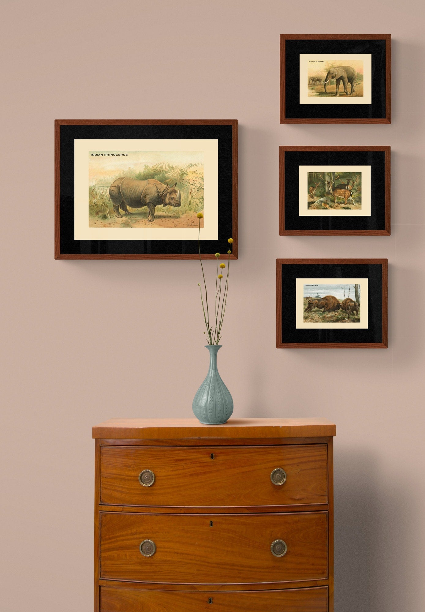 Indian Rhinoceros Print