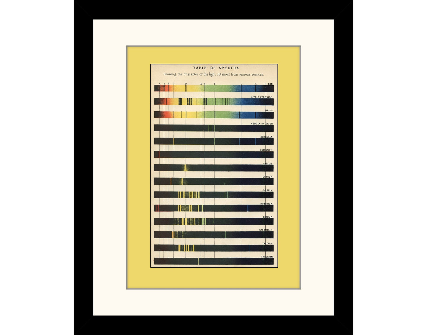 Spectrum Analysis Print