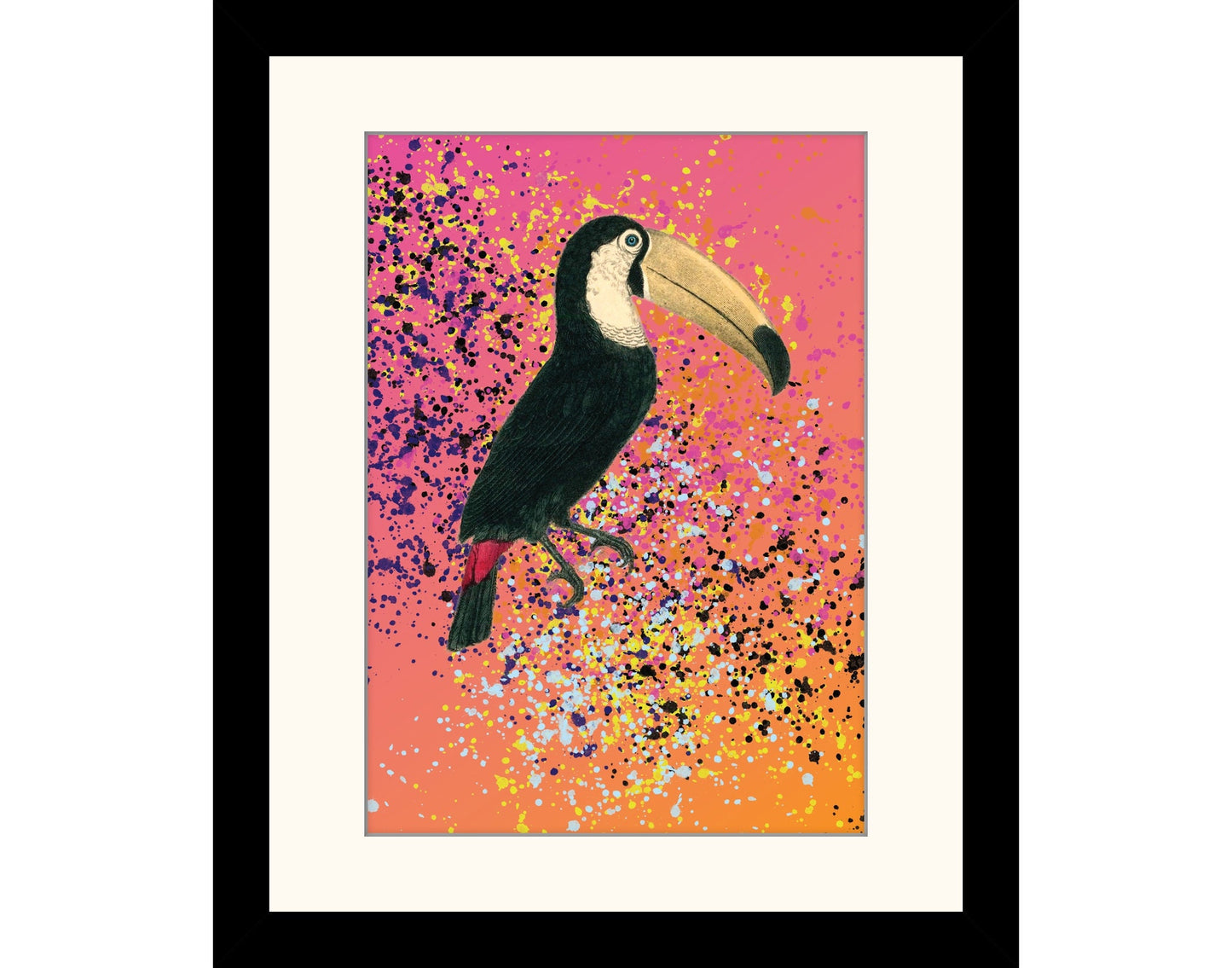 Toucan Paint Splash Print