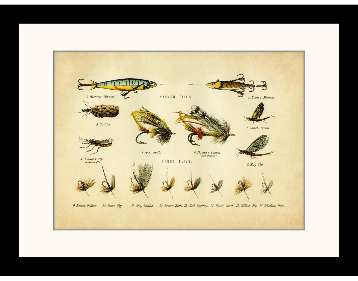 Fishing Flies Print