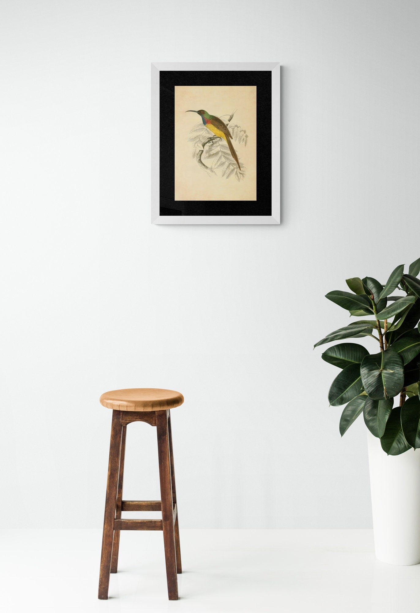 Sunbird Print