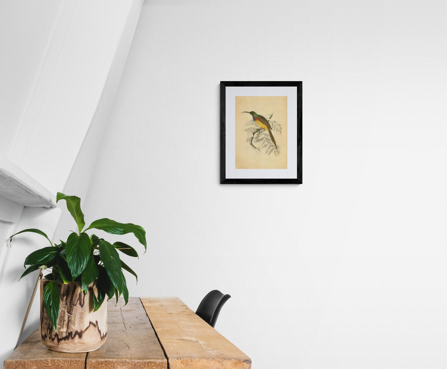 Sunbird Print