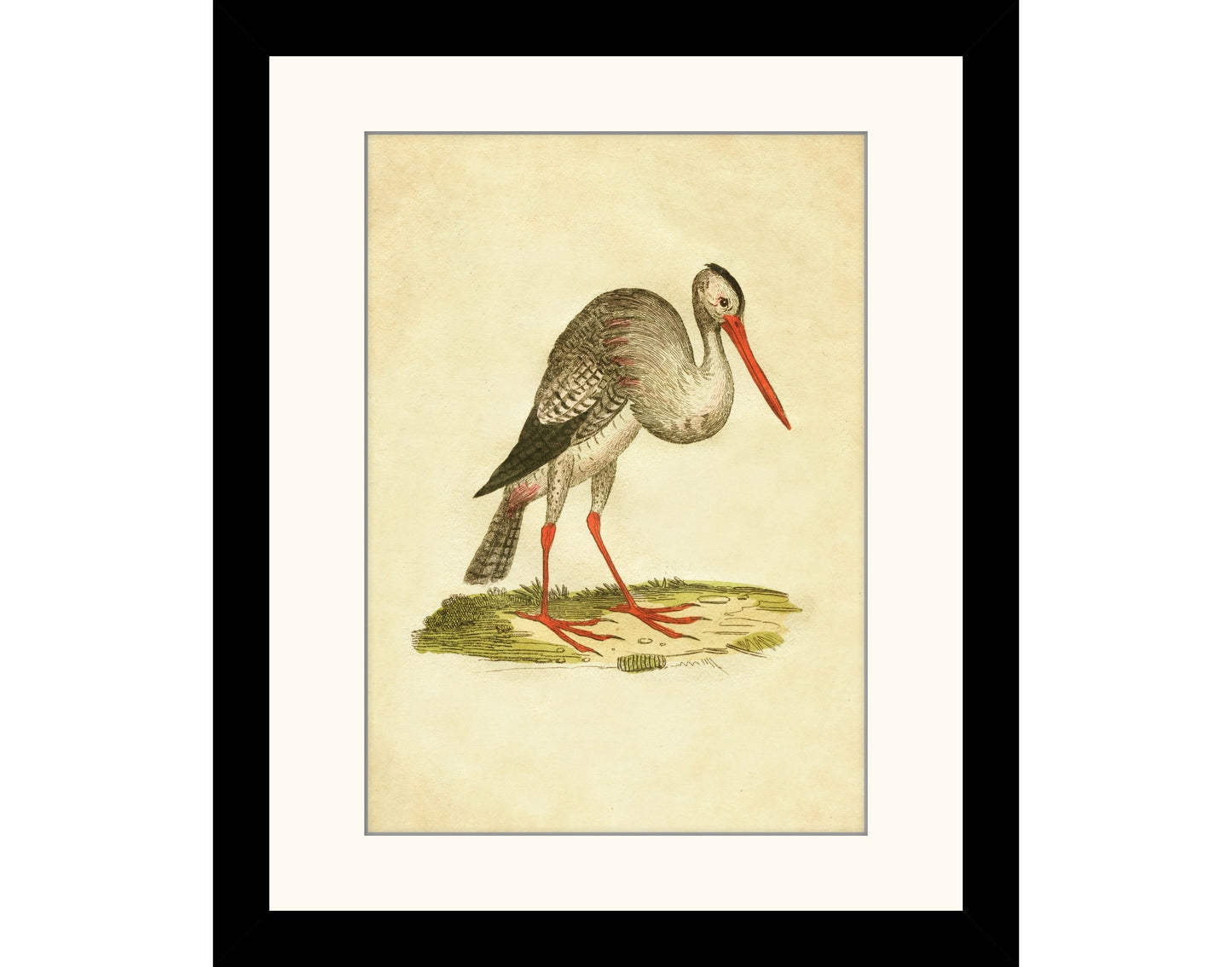 Stork Print