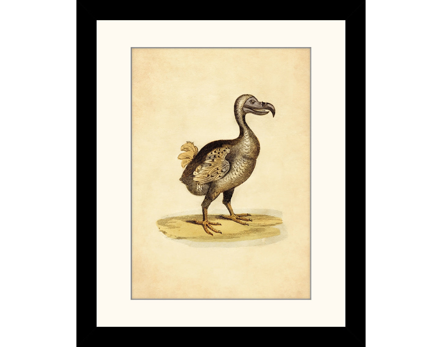 Dodo Print