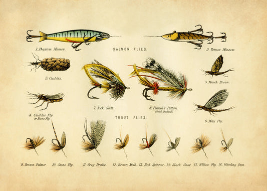 Fishing Flies Print