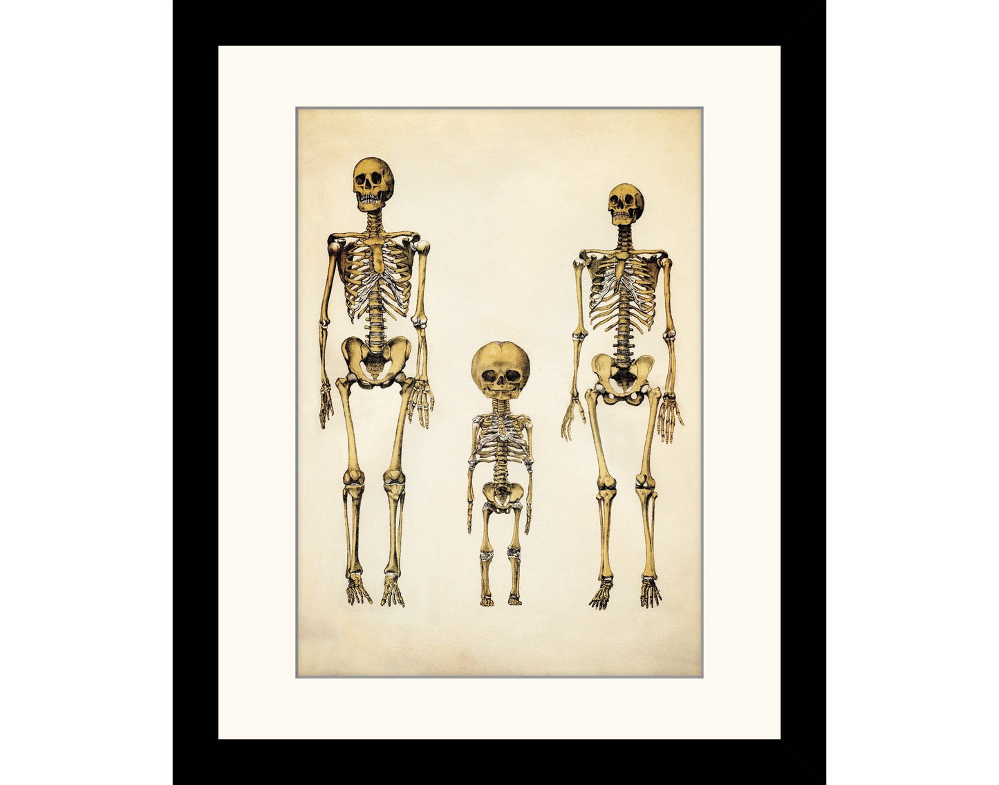 Skeleton Family Print