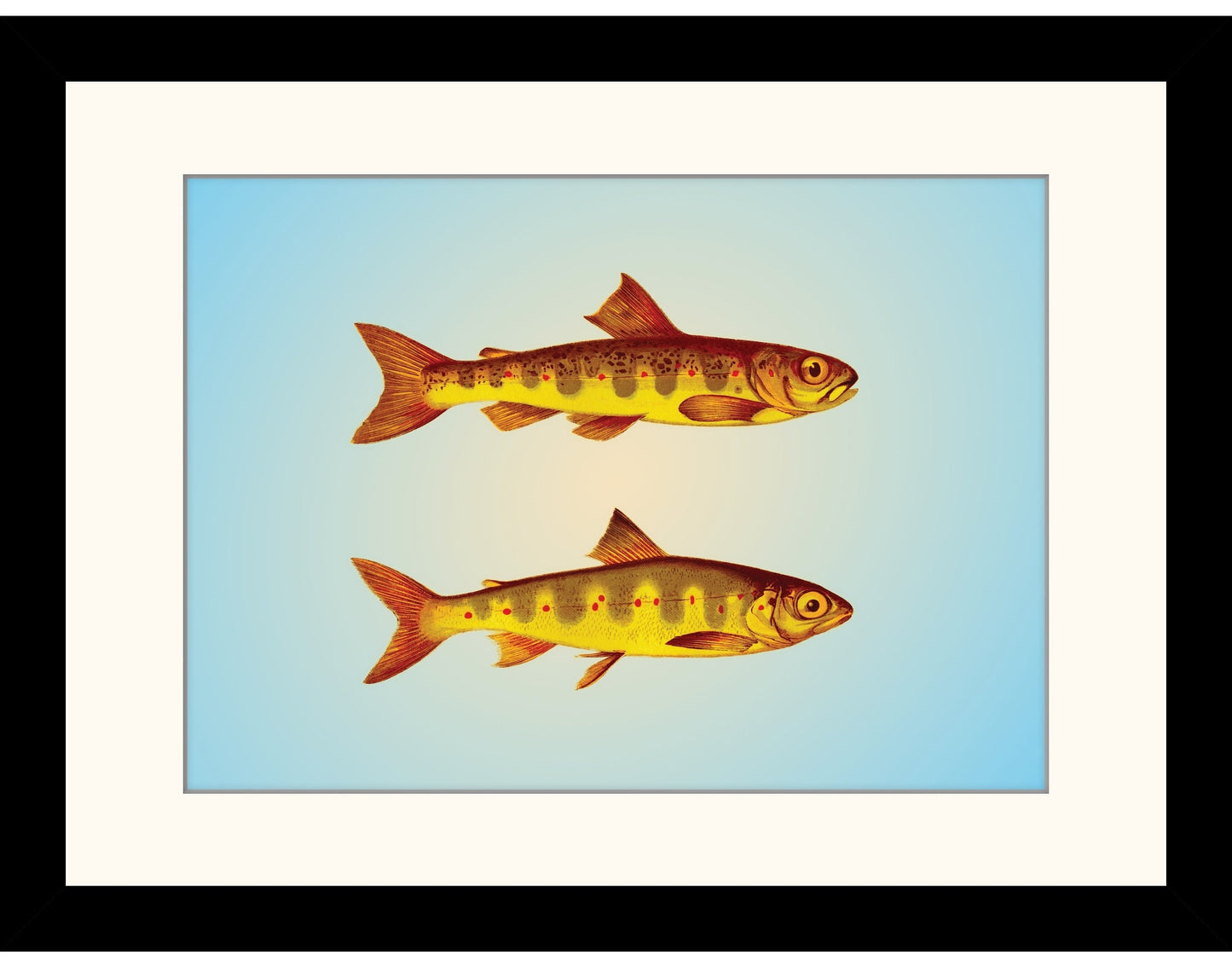 Parr and Samlet Fish Print