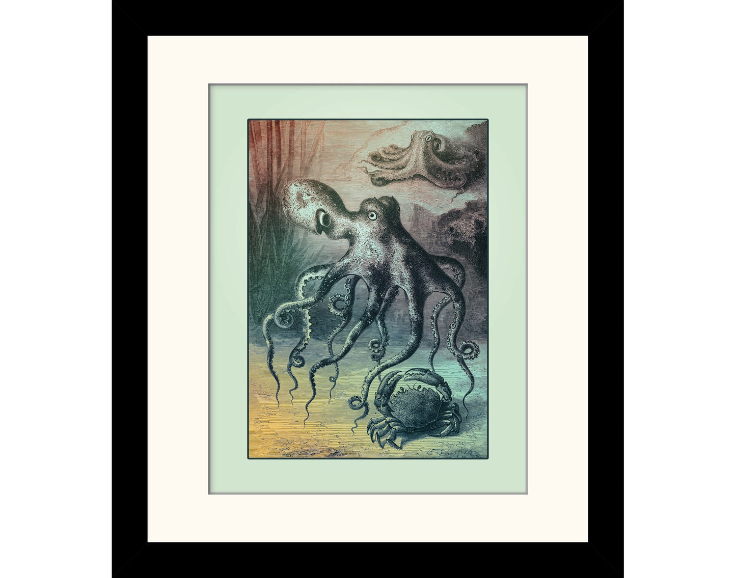 Octopus Print