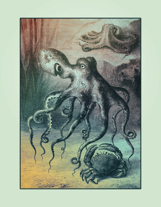 Octopus Print