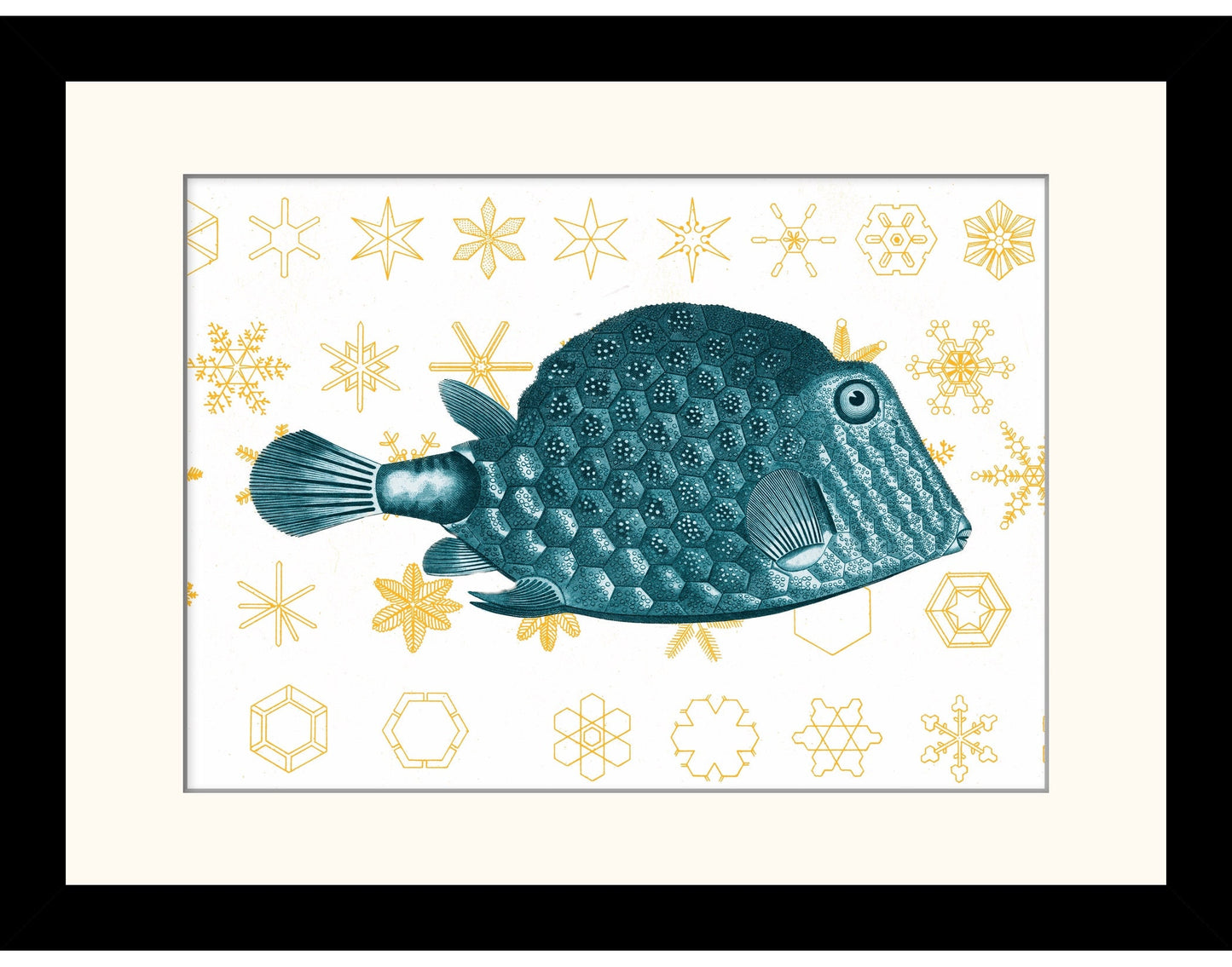 Fish and Snowflakes Print