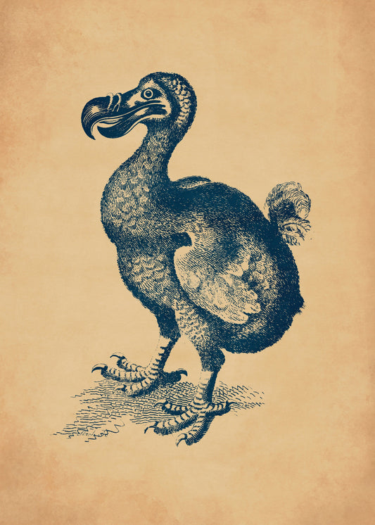 Dodo Print