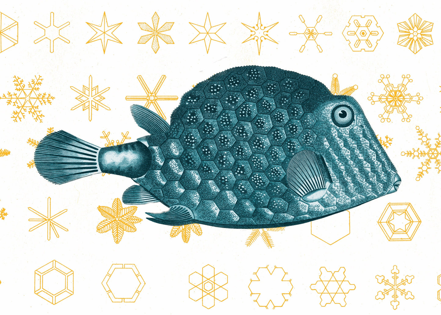 Fish and Snowflakes Print