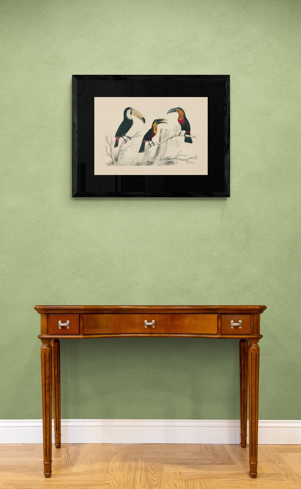 Toucans Print