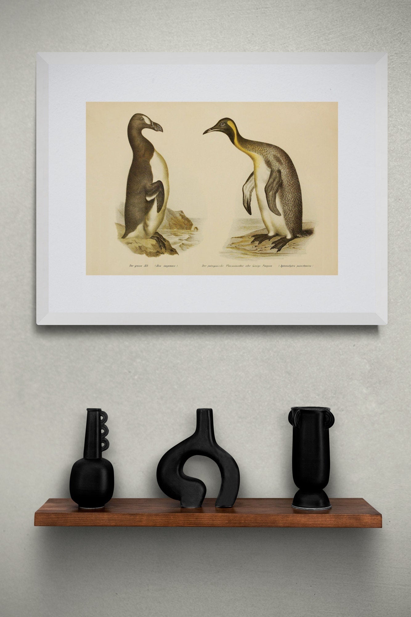 Great Auk and King Penguin Print - Antique Reproduction - Ornithology - Bird Art - Wall Decor - Natural History - Available Framed