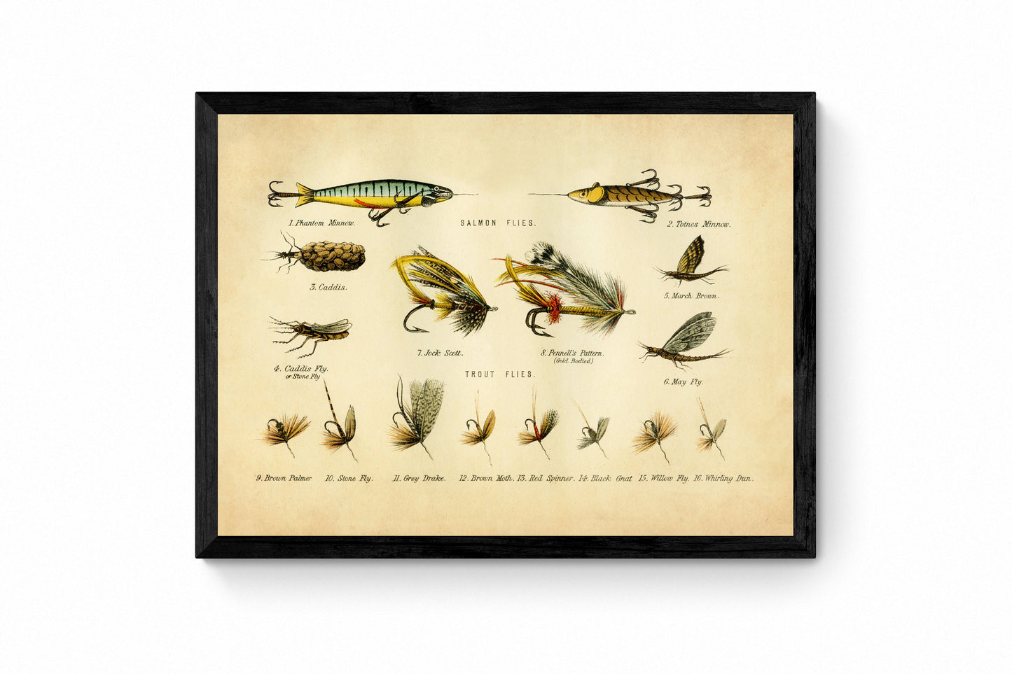 Fishing Flies Print