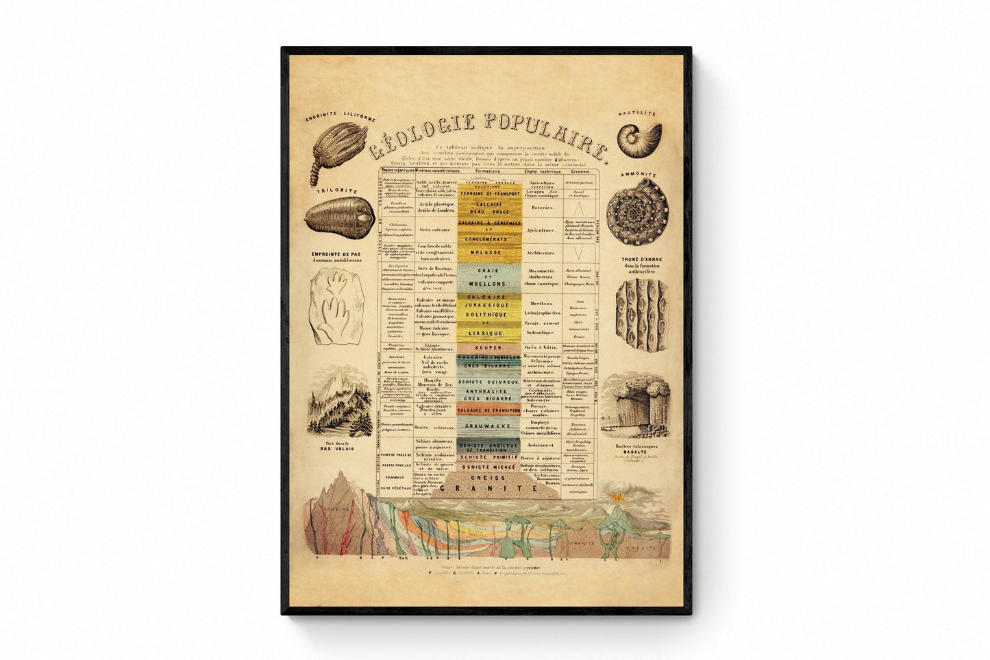 Geology and Palaentology Poster - Antique Art Reproduction - French Poster - Fossil - Geological Era - Geologist - Available Framed