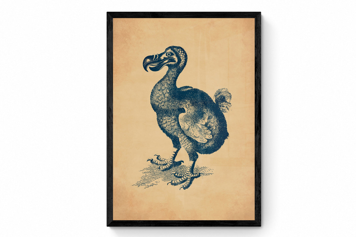 Dodo Print