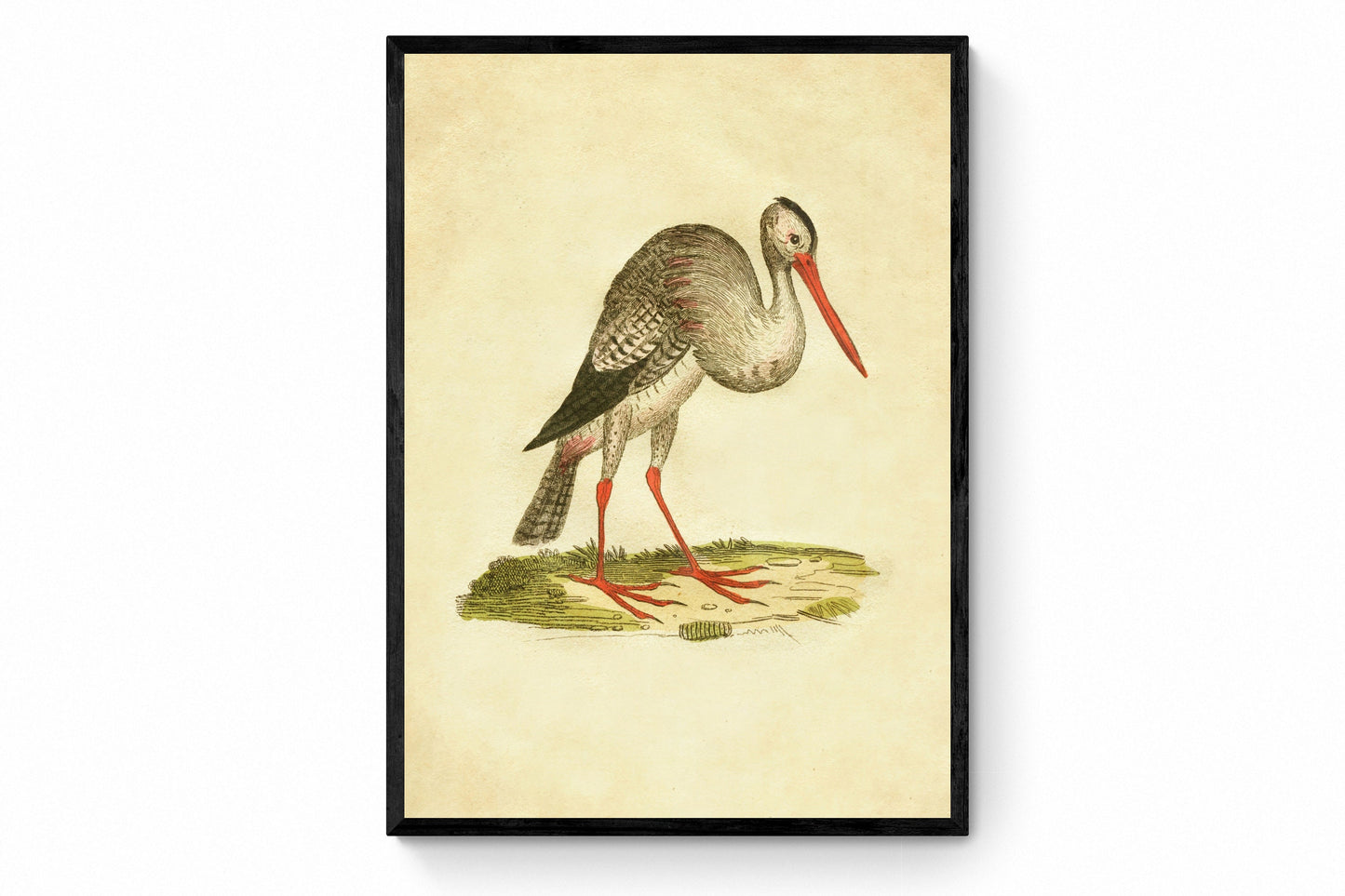 Stork Print