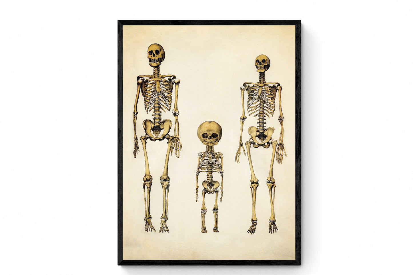 Skeleton Family Print