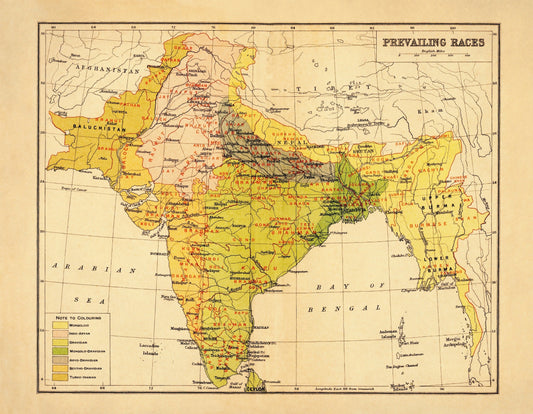 India (Prevailing Races) Map - Antique Reproduction - Ethnology - Anthropology - Ethnography - Human Races - 1908 Map - Available Framed