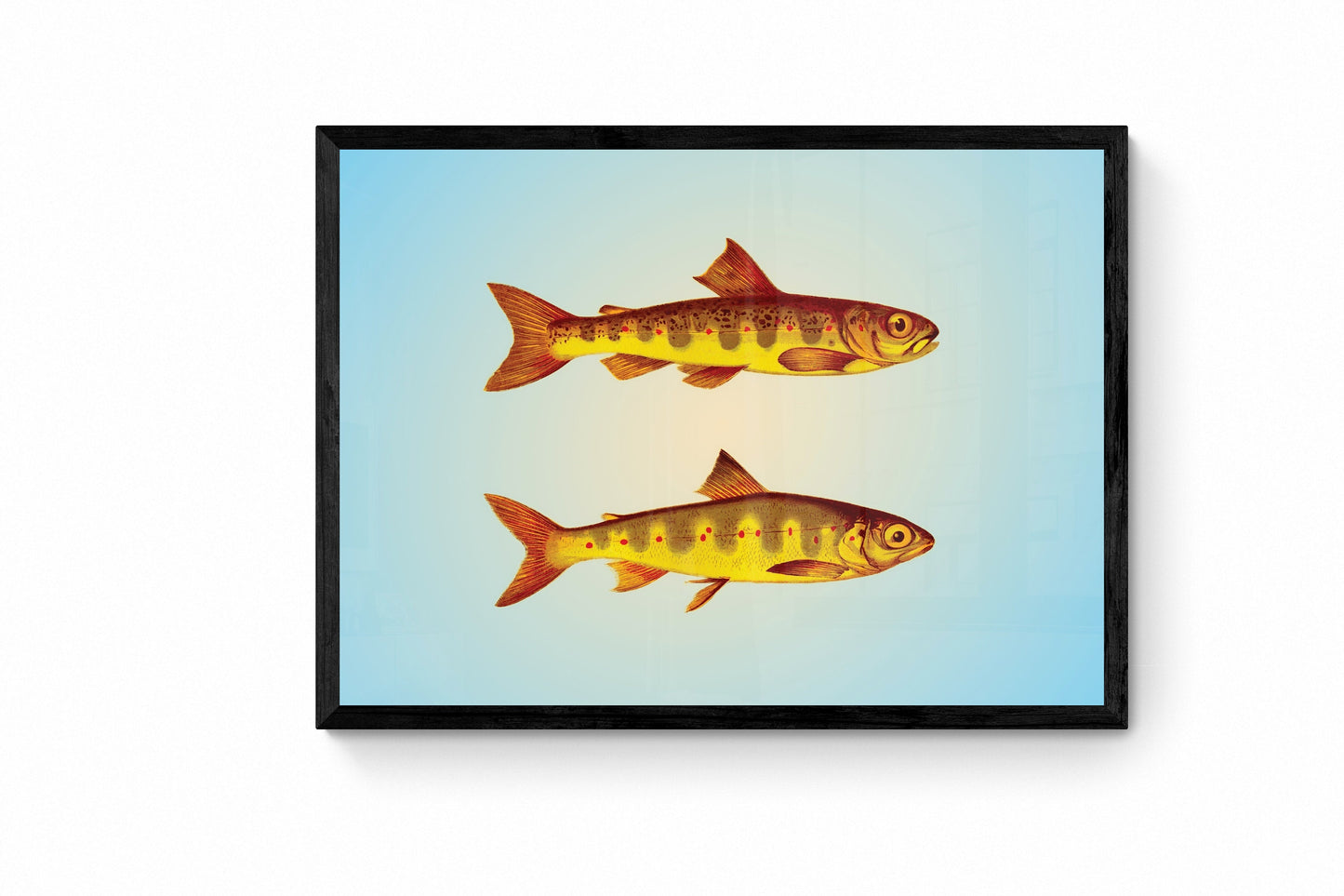 Parr and Samlet Fish Print