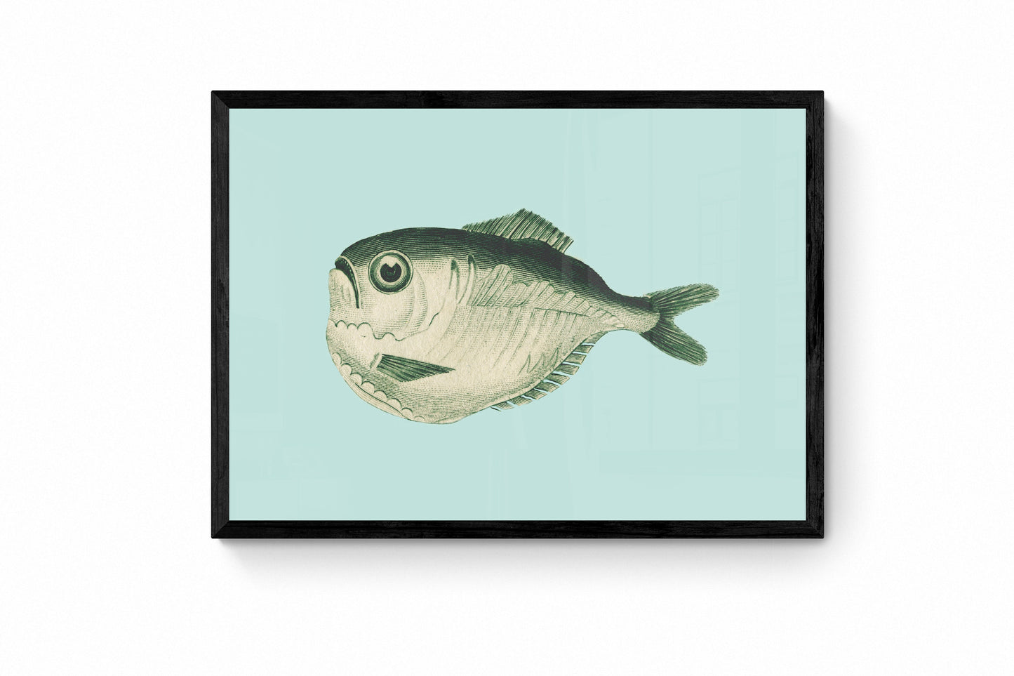 Fish Print