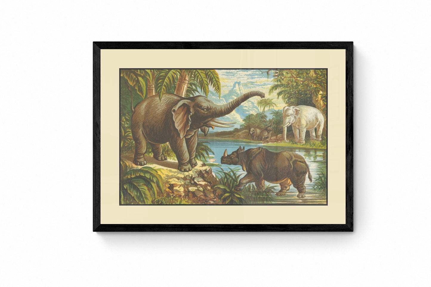 Elephant, Rhinoceros and White Elephant Print