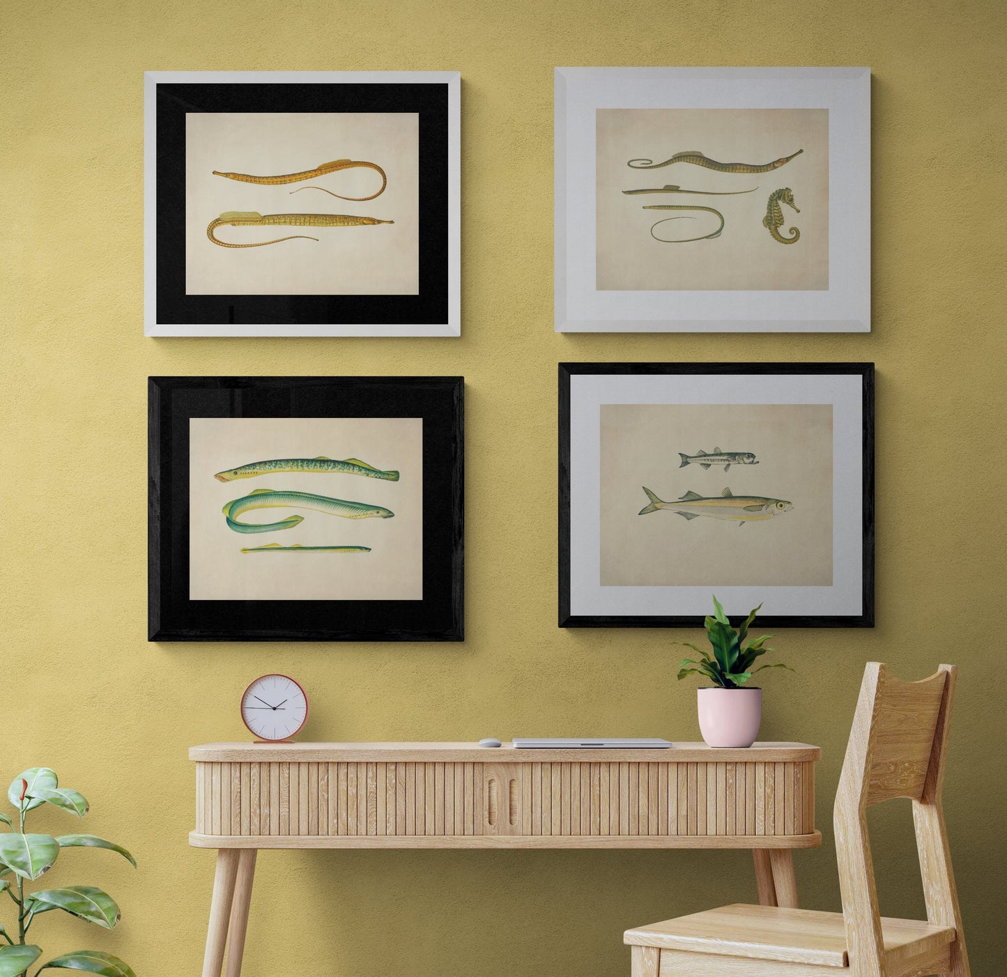 Ocean Pipefish Print - Antique Reproduction - Marine Wildlife - Fish Wall Art - Ocean Wall Decor - Available Framed