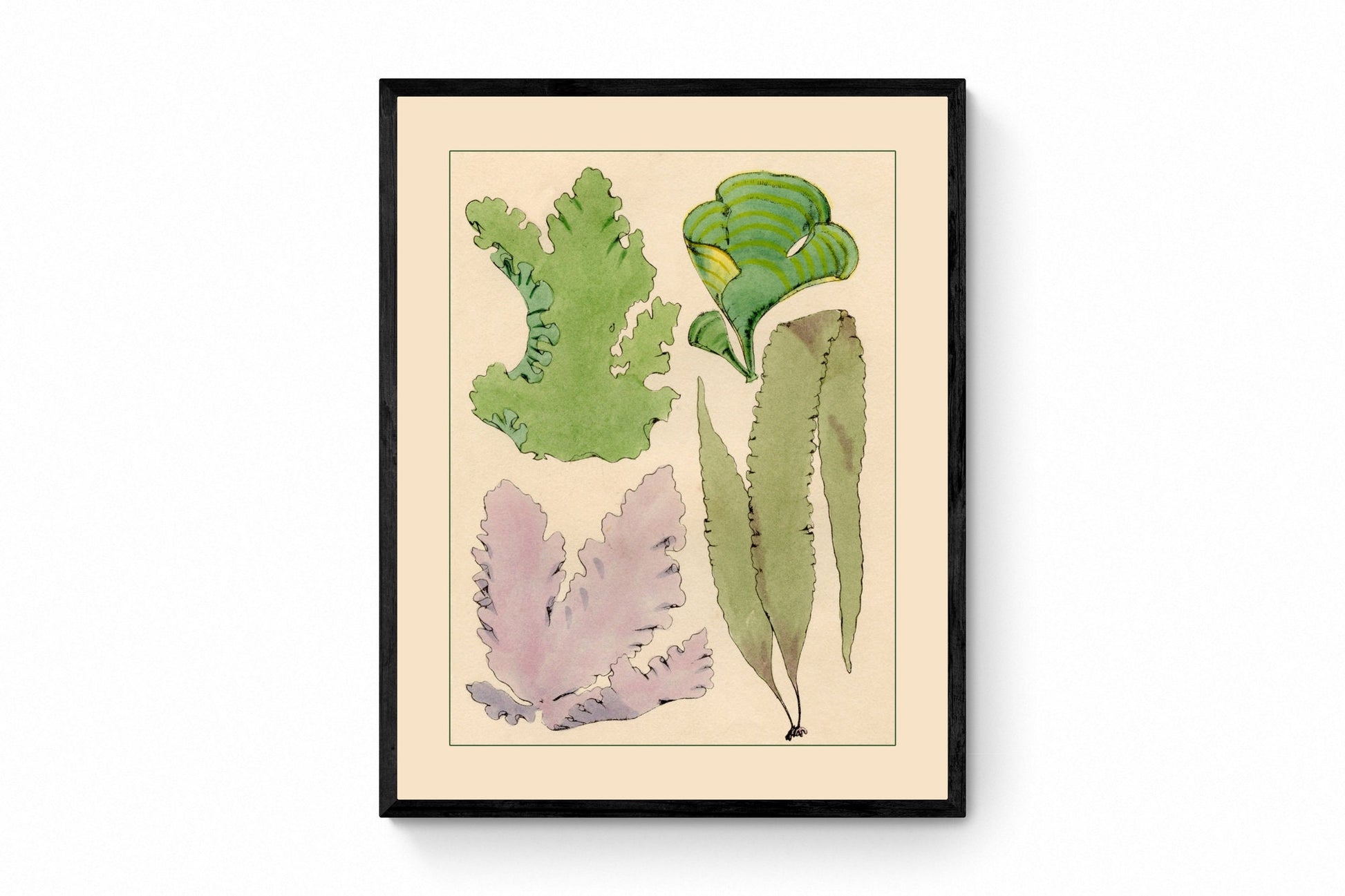 Seaweed Print - Antique Reproduction - dated 1857 - Botanical Art - Ocean Decor - Marine Algae - Available Framed