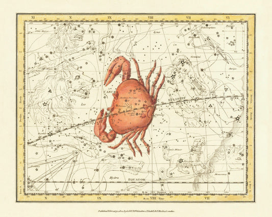 Cancer Constellation Antique Reproduction - Alexander Jamieson - dated 1822 - Star Sign - Zodiac - Astronomy - Available Framed