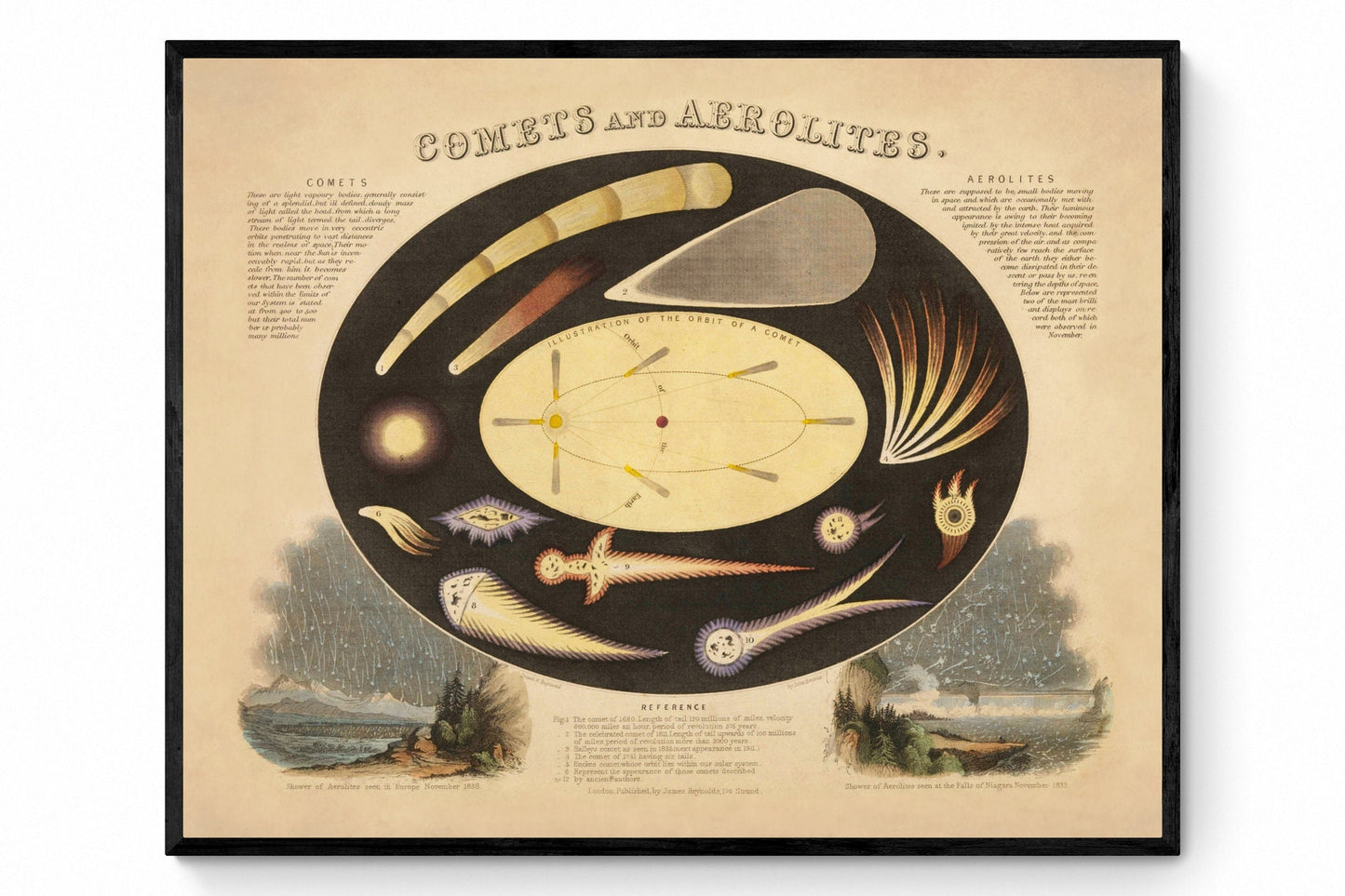 Comets and Aerolites Print -  Antique Reproduction - dated 1846 - Astronomy - Celestial Art - Astronomical Diagram - Available Framed